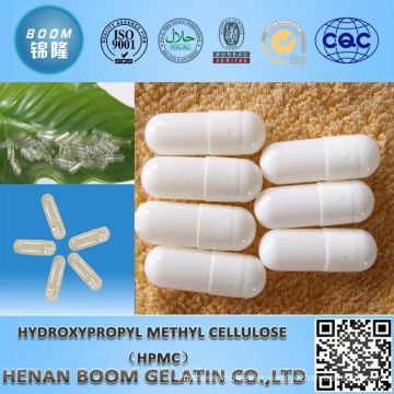 Hydroxy Propyl Methyl Cellulose(HPMC) for construction use